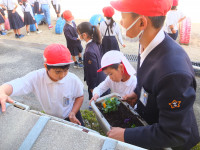 DSCF1100