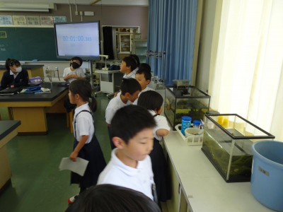 pict-DSC04392