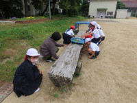pict-IMG_7620