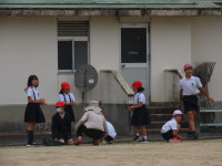 pict-IMG_7624