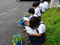 pict-DSC04398