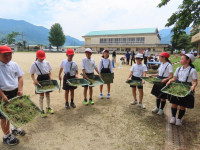 pict-IMG_8067