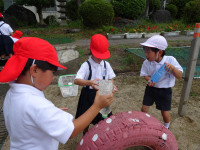 pict-DSC04436