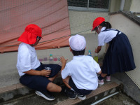 pict-DSC04445