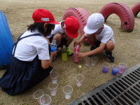 pict-DSC04454