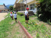 pict-IMG_8139