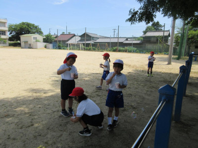 pict-IMG_3573
