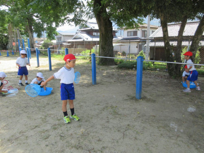 pict-IMG_3595
