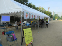 pict-IMG_3835