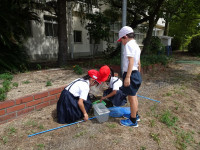 pict-DSC04535