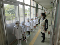 pict-IMG_3378