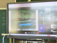 IMG_0599